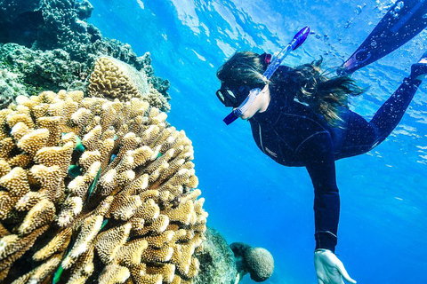 Green Island Day Trip From Cairns - Lennox Head Accommodation 1