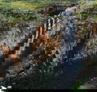 7 Days Darwin Kakadu National Park Katherine Gorge Touring Package - Lennox Head Accommodation