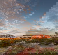 Uluru Kata Tjuta and Kings Canyon Camping Safari from Alice Springs - Lennox Head Accommodation