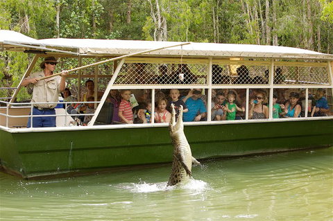 Hartley's Crocodile Adventure Half-Day Tour - Lennox Head Accommodation 0