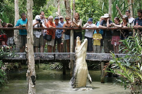 Hartley's Crocodile Adventure Half-Day Tour - Lennox Head Accommodation 1