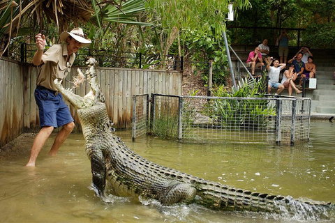 Hartley's Crocodile Adventure Half-Day Tour - Lennox Head Accommodation 2