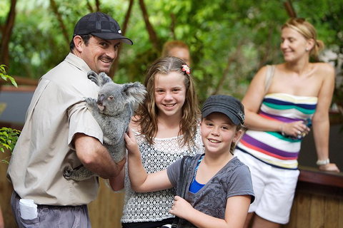 Hartley's Crocodile Adventure Half-Day Tour - Lennox Head Accommodation 3