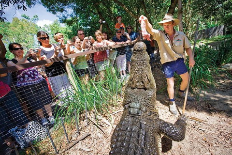 Hartley's Crocodile Adventure Half-Day Tour - Lennox Head Accommodation 4