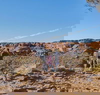 The Amazing Kings Canyon 4-Hours Walking Tour and Hike - Lennox Head Accommodation