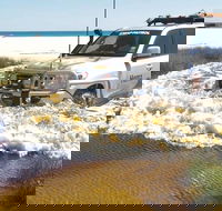 Full-Day Moreton Island 4x4 Sightseeing Tour - Lennox Head Accommodation