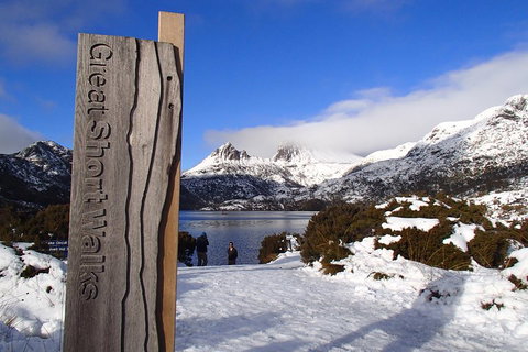 Cradle Mountain Active Day Trip From Launceston - Lennox Head Accommodation 3