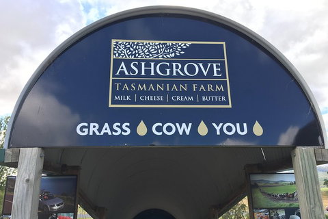 Cradle Mountain Active Day Trip From Launceston - Lennox Head Accommodation 4