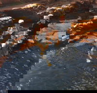 One Day Litchfield Park Adventures - Lennox Head Accommodation