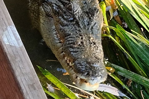 Litchfield Park Adventures And Jumping Crocodile Cruise + Butterfly Farm - Lennox Head Accommodation 1
