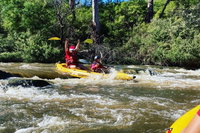 Book Viator Accommodation Vacations Lennox Head Accommodation Lennox Head Accommodation