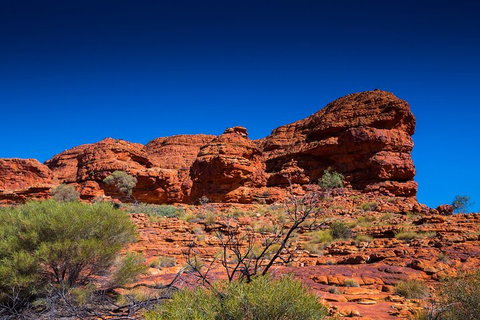 7-Day Guided Tour Of Alice Springs With Accommodation Included - Lennox Head Accommodation 4