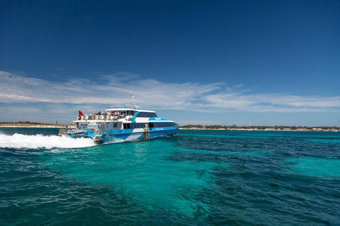 Rottnest Island Bike & Ferry Package From Fremantle - Lennox Head Accommodation 4