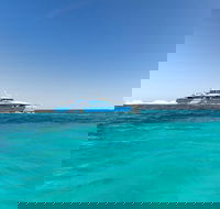 Rottnest Island Bayseeker Day Trip from Perth - Lennox Head Accommodation