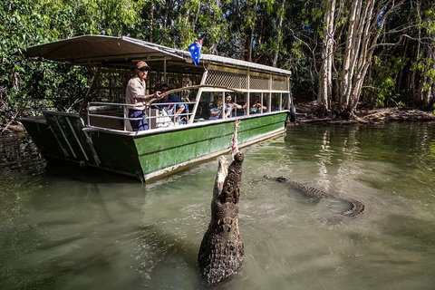 Hartley's Crocodile Adventures Day Trip From Cairns - Lennox Head Accommodation 2
