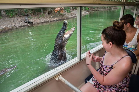 Hartley's Crocodile Adventures Day Trip From Cairns - Lennox Head Accommodation 3