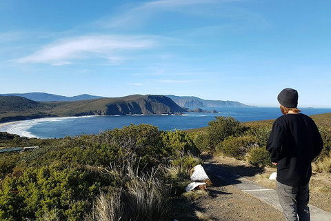 4-Day Fabulous Tasmania Tour: Wineglass Bay, Port Arthur, Devils & Bruny Island - Lennox Head Accommodation 0