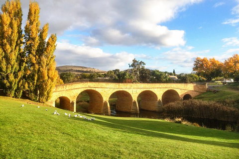 4-Day Fabulous Tasmania Tour: Wineglass Bay, Port Arthur, Devils & Bruny Island - Lennox Head Accommodation 1