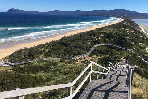 4-Day Fabulous Tasmania Tour: Wineglass Bay, Port Arthur, Devils & Bruny Island - Lennox Head Accommodation 5