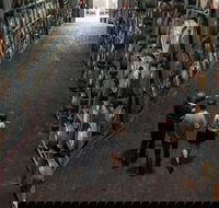 Wirra Wirra Vineyard McLaren Vale Winery Tour and Shiraz Masterclass - Lennox Head Accommodation