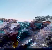 Wave Break Island Scuba Diving on the Gold Coast - Lennox Head Accommodation