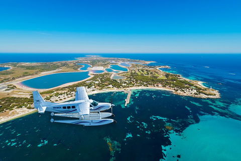 Full Day Tour By Seaplane To Rottnest Island Small Group Trip - Lennox Head Accommodation 1
