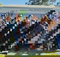 Full Day Mount Tamborine Winery Tour from Gold Coast - Lennox Head Accommodation