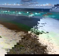 Experience Rottnest with Ferry  Bike Hire from Perth or Fremantle - Lennox Head Accommodation