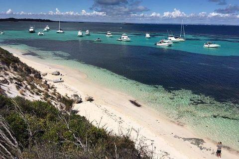 Experience Rottnest With Ferry & Bike Hire From Perth Or Fremantle - Lennox Head Accommodation 0