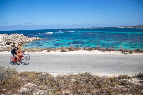 Experience Rottnest With Ferry & Bike Hire From Perth Or Fremantle - Lennox Head Accommodation 2