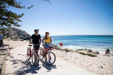 Experience Rottnest With Ferry & Bike Hire From Perth Or Fremantle - Lennox Head Accommodation 4