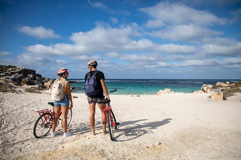Experience Rottnest With Ferry & Bike Hire From Perth Or Fremantle - Lennox Head Accommodation 5