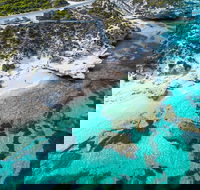 Rottnest Island Round-Trip Ferry from Perth or Fremantle - Lennox Head Accommodation