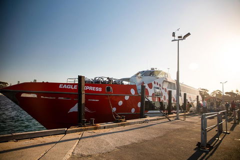 Rottnest Island Round-Trip Ferry From Perth Or Fremantle - Lennox Head Accommodation 2