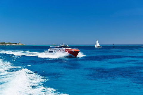 Rottnest Island Round-Trip Ferry From Perth Or Fremantle - Lennox Head Accommodation 4