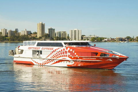 Rottnest Island Round-Trip Ferry From Perth Or Fremantle - Lennox Head Accommodation 5