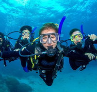 Great Barrier Reef Diving and Snorkeling Cruise from Cairns