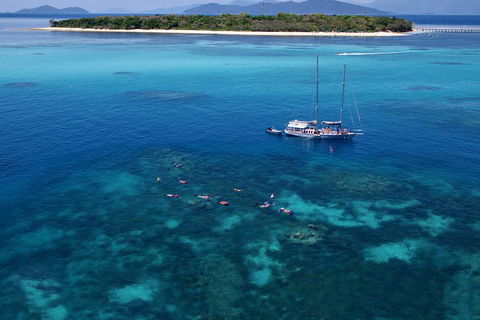 Ocean Free Green Island & Great Barrier Reef Snorkel Cruise, Cairns 25 Guests - Lennox Head Accommodation 2