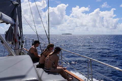 Ocean Free Green Island & Great Barrier Reef Snorkel Cruise, Cairns 25 Guests - Lennox Head Accommodation 4