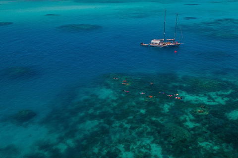 Ocean Free Green Island & Great Barrier Reef Snorkel Cruise, Cairns 25 Guests - Lennox Head Accommodation 5