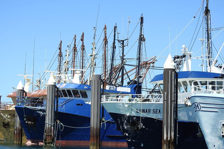 Lennox Head Accommodation