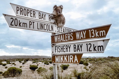 One Day Port Lincoln Tour - Tasting Eyre - Lennox Head Accommodation 2