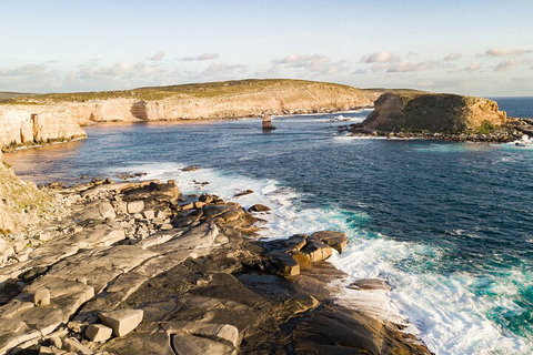 One Day Port Lincoln Tour - Tasting Eyre - Lennox Head Accommodation 3