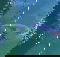 Dolphin Cruise from Adelaide with Optional Dolphin Swim - Lennox Head Accommodation