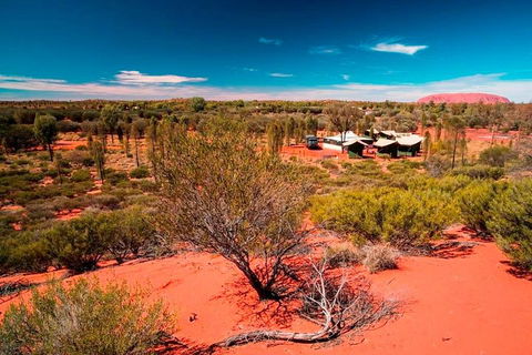 Overnight Uluru (Ayers Rock) Small-Group Camping Tour - Lennox Head Accommodation 2