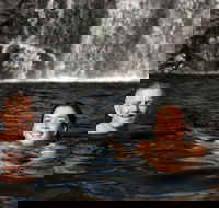 3 Day 4WD Dragonfly Dreaming Top End Safari - Lennox Head Accommodation