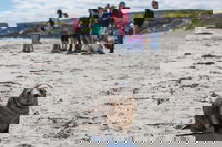 Book Viator Accommodation Vacations Lennox Head Accommodation Lennox Head Accommodation