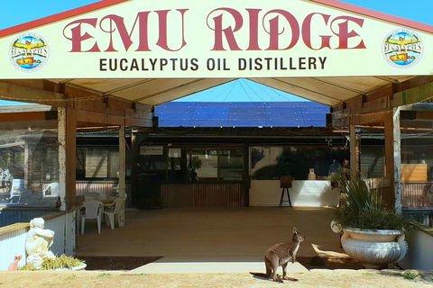 2 Day Ultimate Kangaroo Island With Return Ferry - Lennox Head Accommodation 3