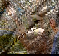 NEW TOUR - Kangaroo Island Road to Recovery Tour 1 Day/1 Night - Lennox Head Accommodation