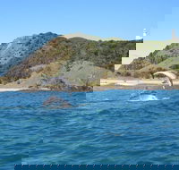 Kayaking with Dolphins in Byron Bay Guided Tour - Lennox Head Accommodation